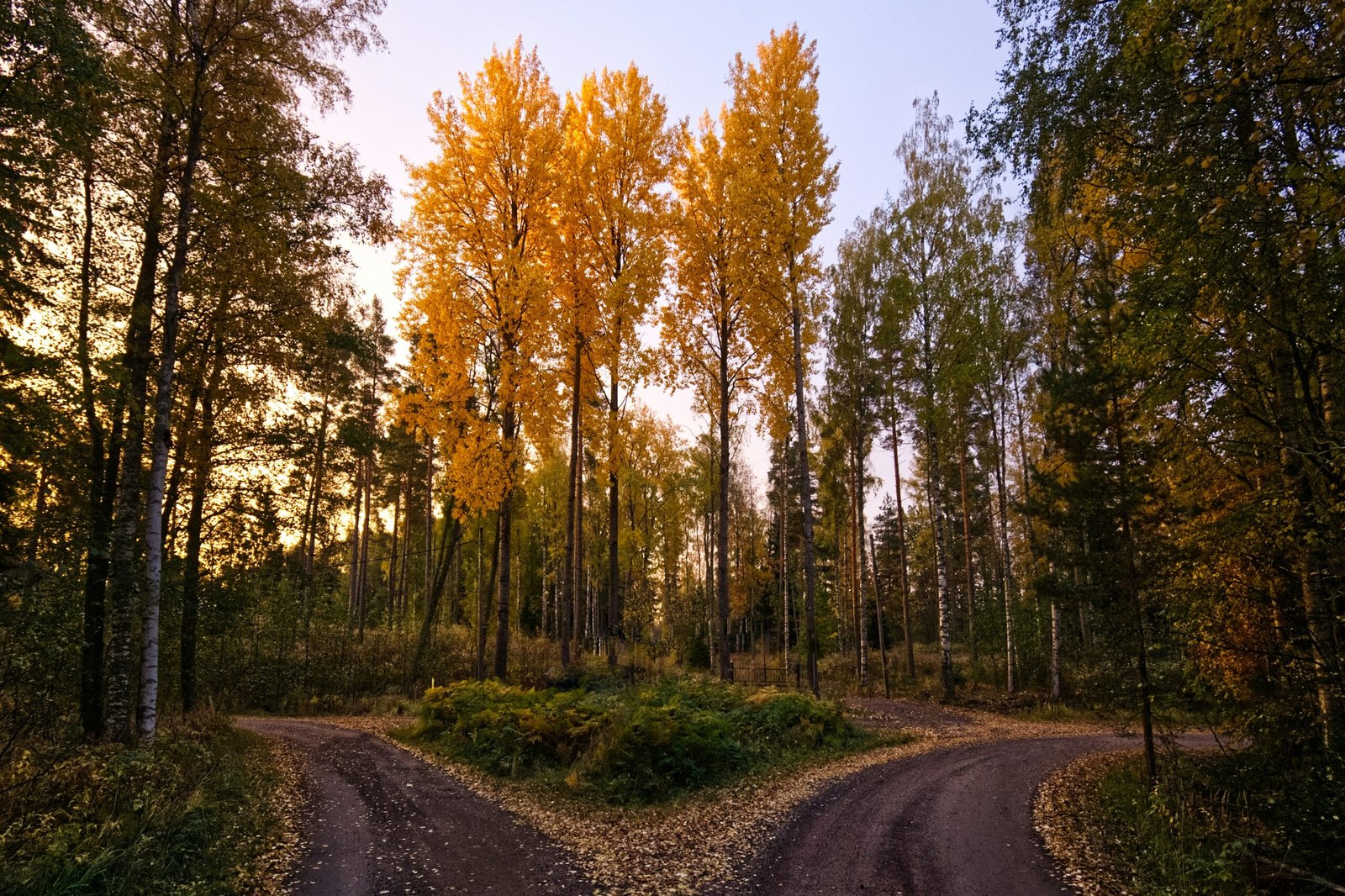 ➤ Index Funds vs ETFs for Beginners: Which One Should You Choose?