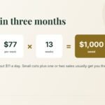 Saving $1,000 in 3 months: about $77 a week for 13 weeks